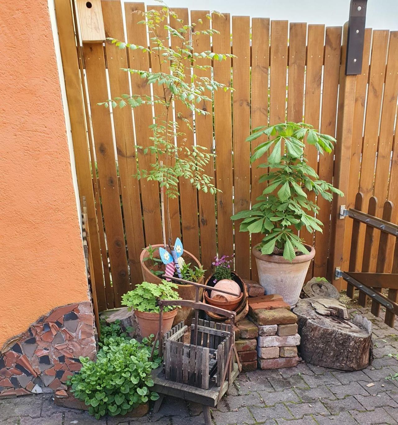 Haus Zwanzig Villa Weisel Luaran gambar